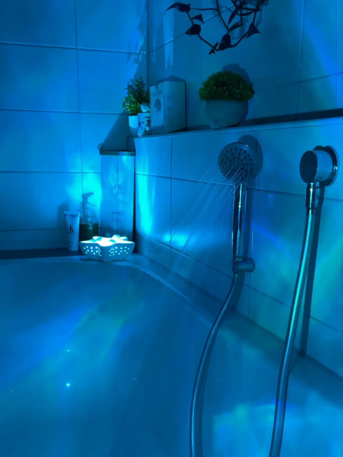 Ocean Star Lamp + Jellyfish Diffuser